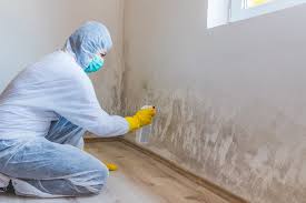 Professional Mold Inspection in Sugar Creek, MO